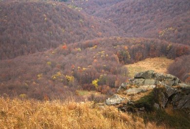 Bieszczady