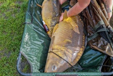 Aliplast Fishing Team