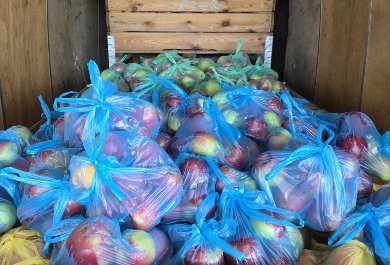 Owocowa środa 5.11.2025