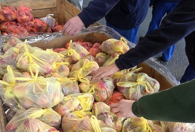 Owocowa środa 5.11.2025