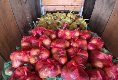 Owocowa środa w Grupie Aliplast (3)