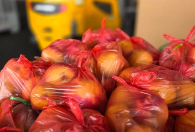 Owocowa środa w Grupie Aliplast (4)