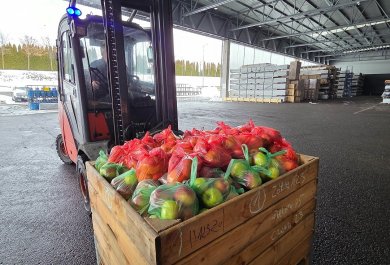 Owocowa środa w Grupie Aliplast (5)